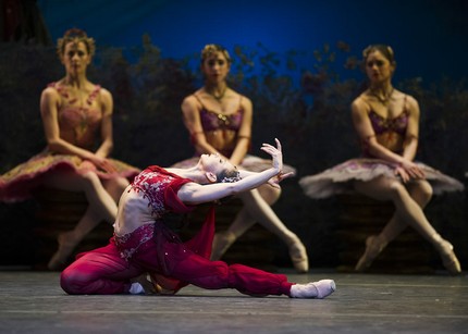 Роберта Маркес в «Баядерке». Автор фото — Tristram Kenton / Royal Opera House